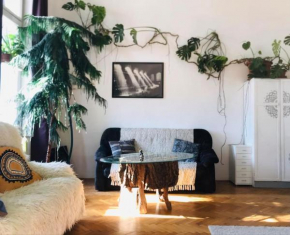 A Selva urbana